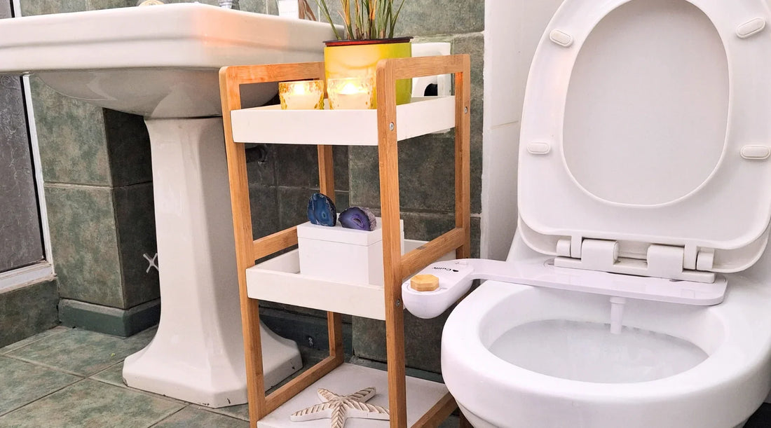 ¿Bidet o bidé? La forma correcta de decirlo y por qué
