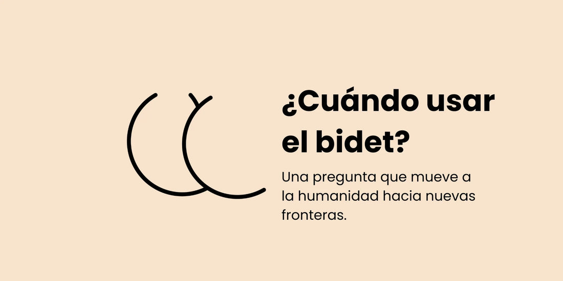 ¿Cuándo usar el bidet?