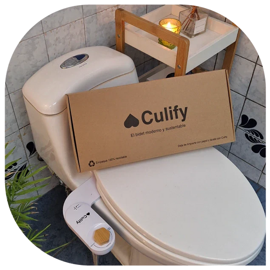 Cómo Elegir el Mejor Bidet para tu Baño